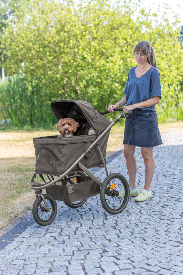 TRIXIE Katzen- und Hundebuggy bis 20 kg